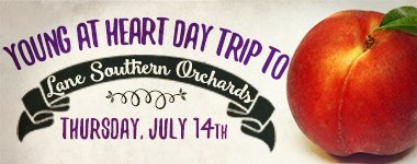Young at Heart Trip to Lane Southern Orchards