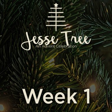 Jesse Tree Web 1