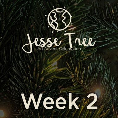 Jesse Tree Web 2