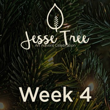 Jesse Tree Web 4