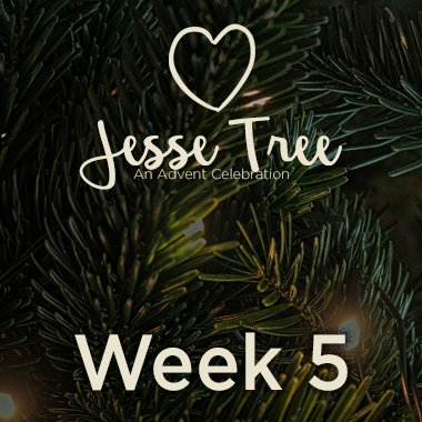 Jesse Tree Web 5