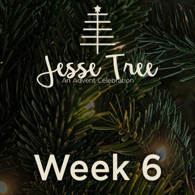 Jesse Tree Web 6