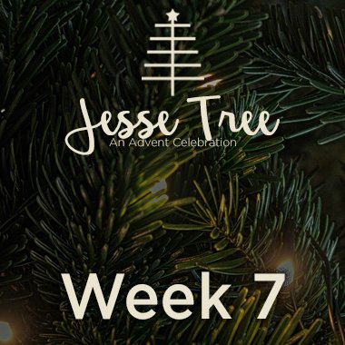 Jesse Tree Web 7