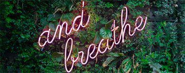 Breathe Web