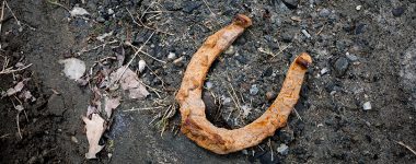 Horseshoe