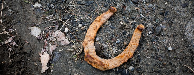 Horseshoe