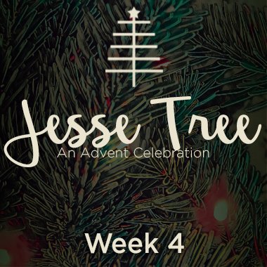 Jesse Tree 2020 Web 4