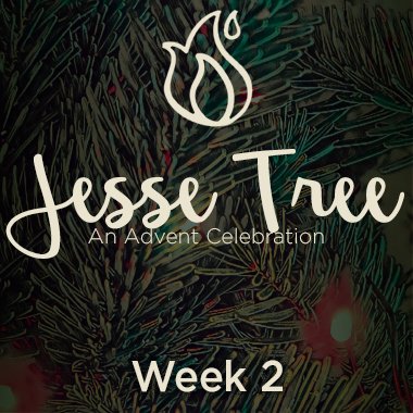 Jesse Tree 2020 Web 2