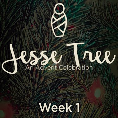 Jesse Tree 2020 Web 1