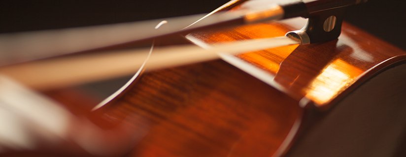 violin