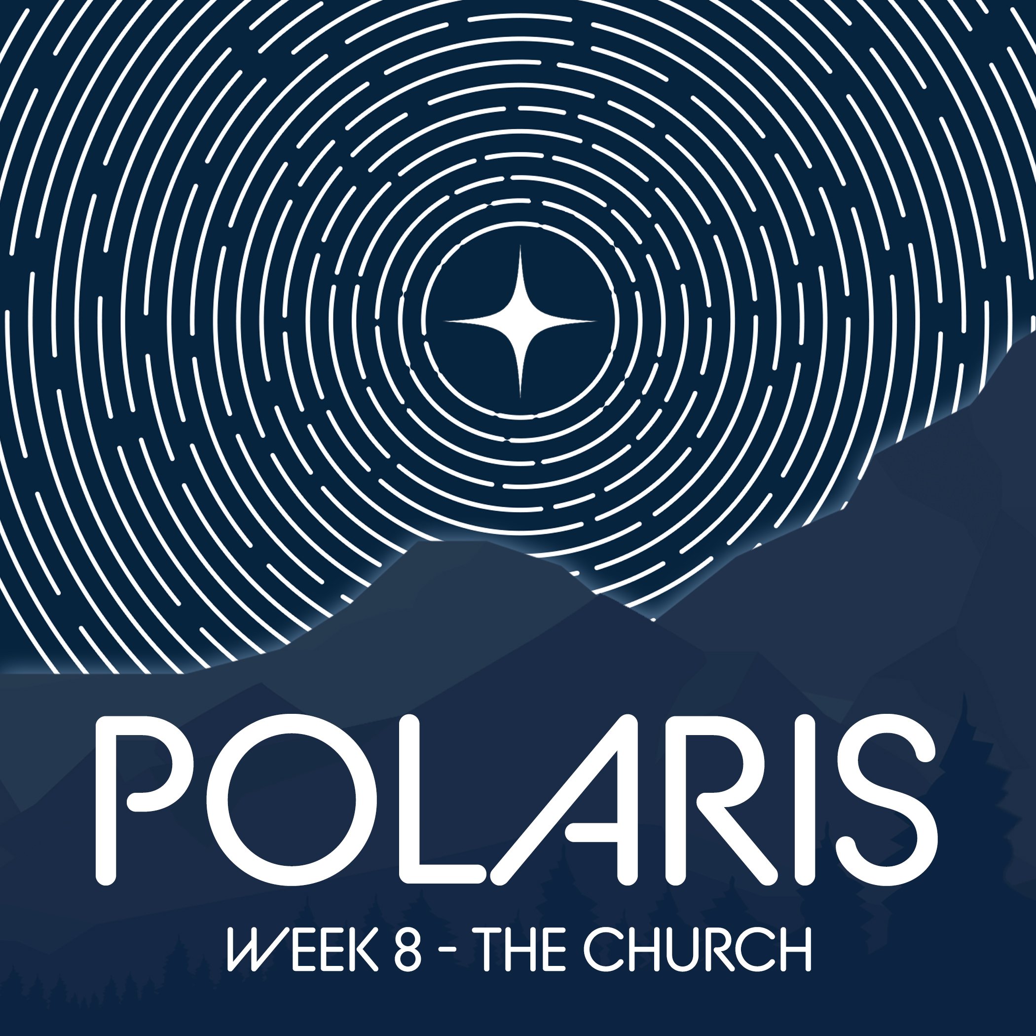 polaris web 8