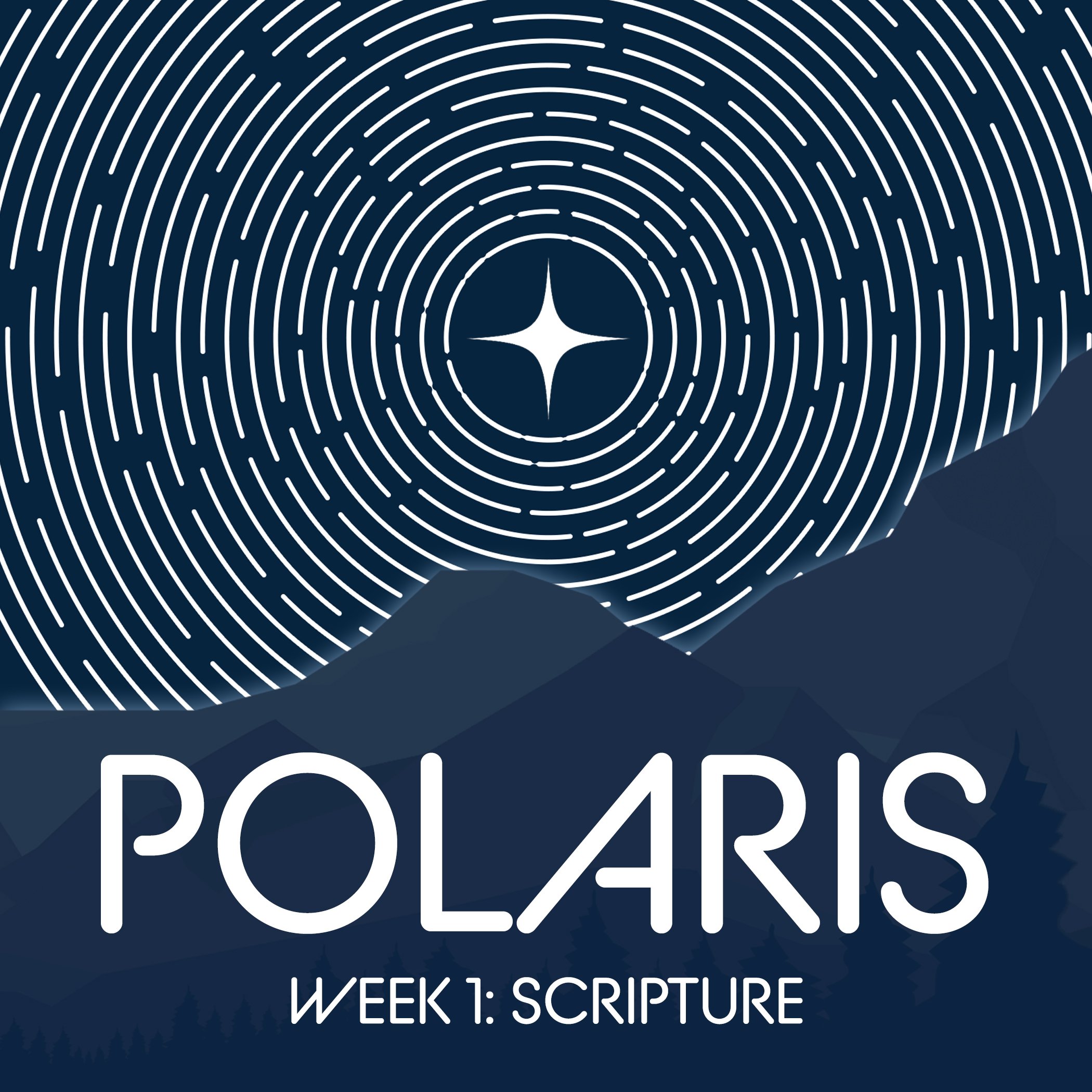 polaris web 1