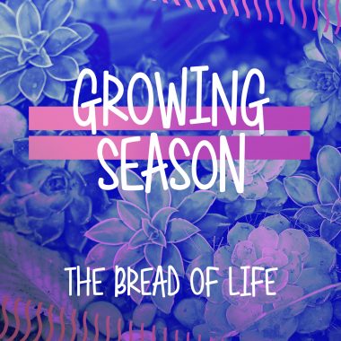 growing season web 4