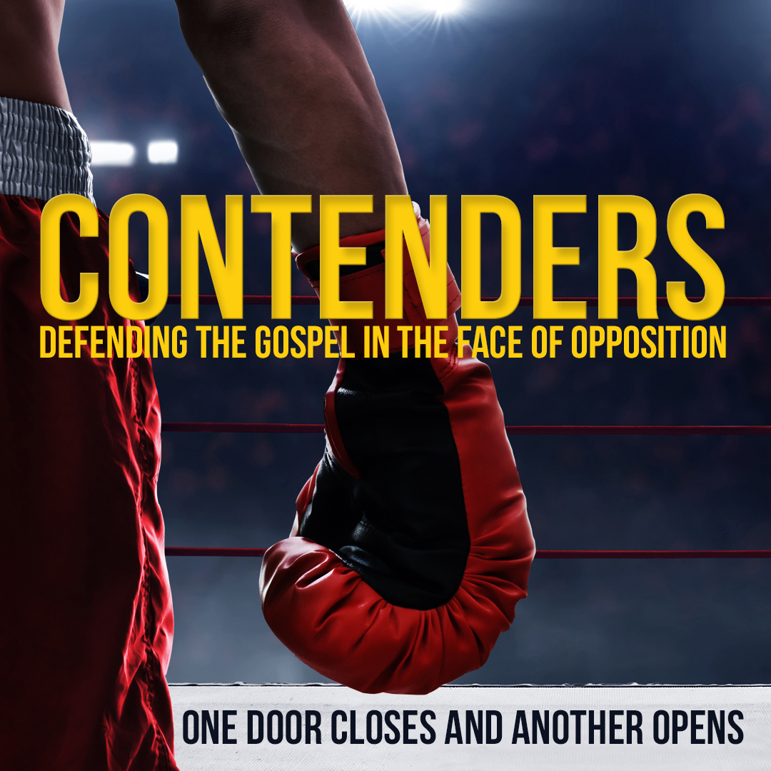 contenders web 1