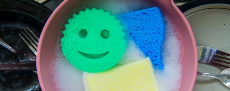 sponge