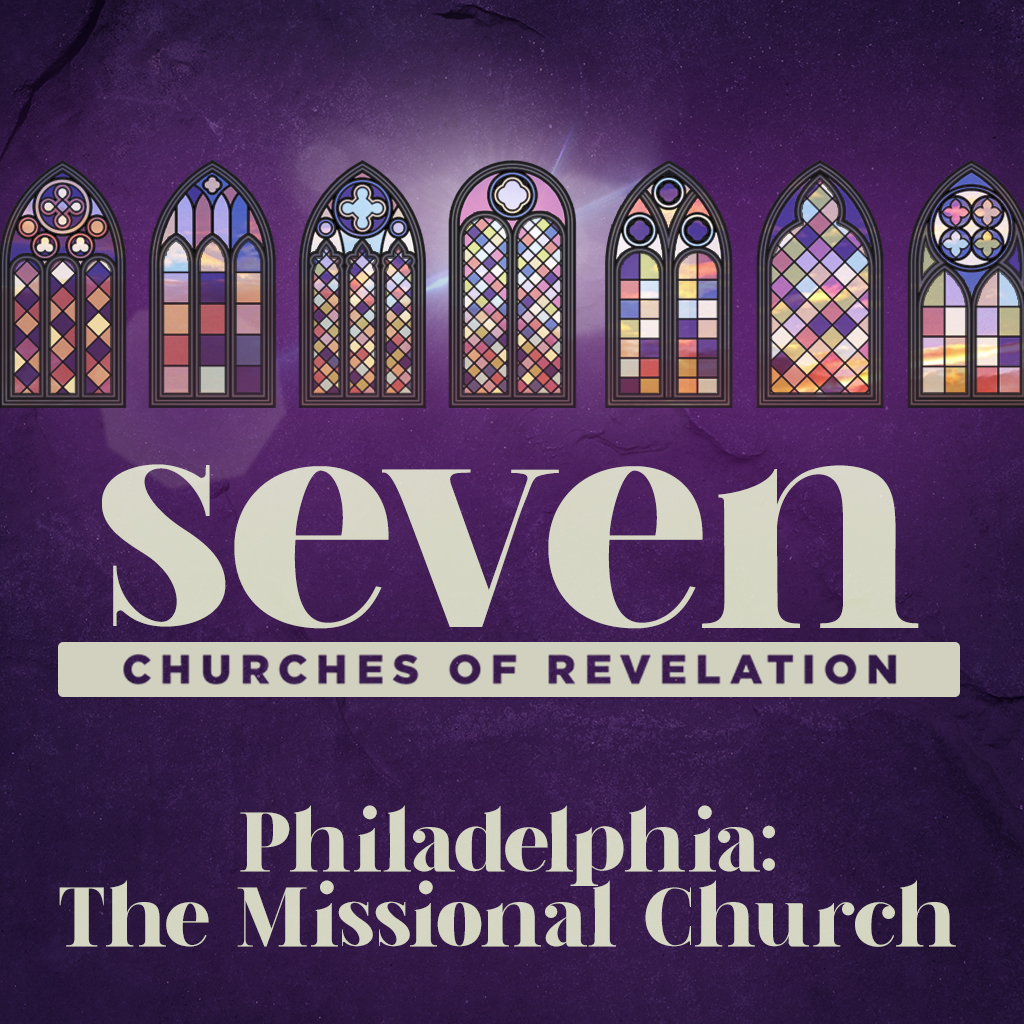 seven web 6