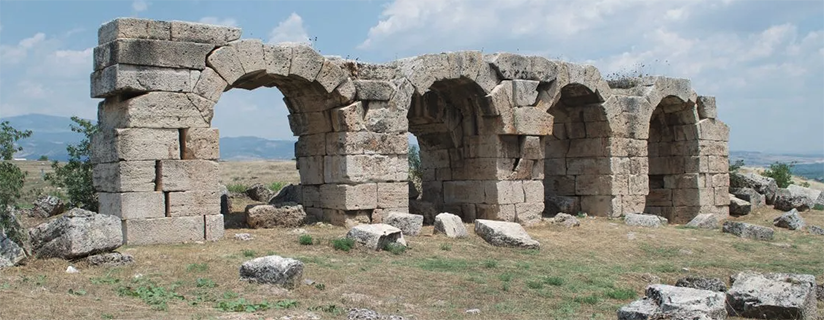 laodicea web