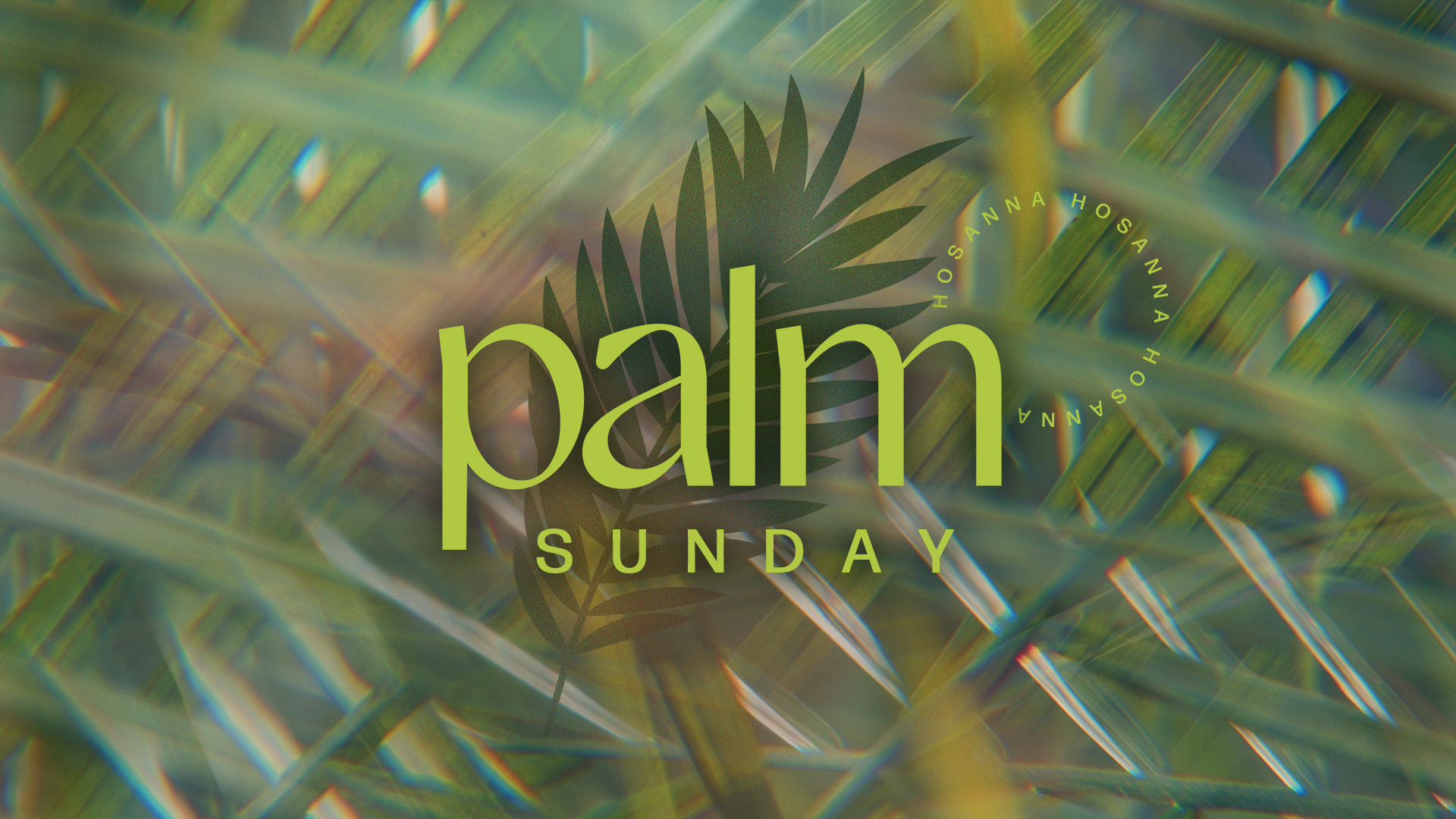 palm sunday title 169