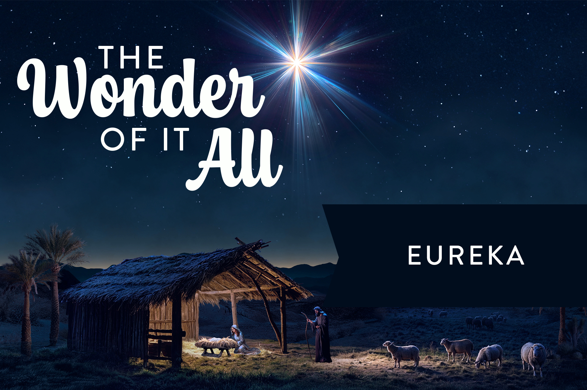the wonder of it all web 2