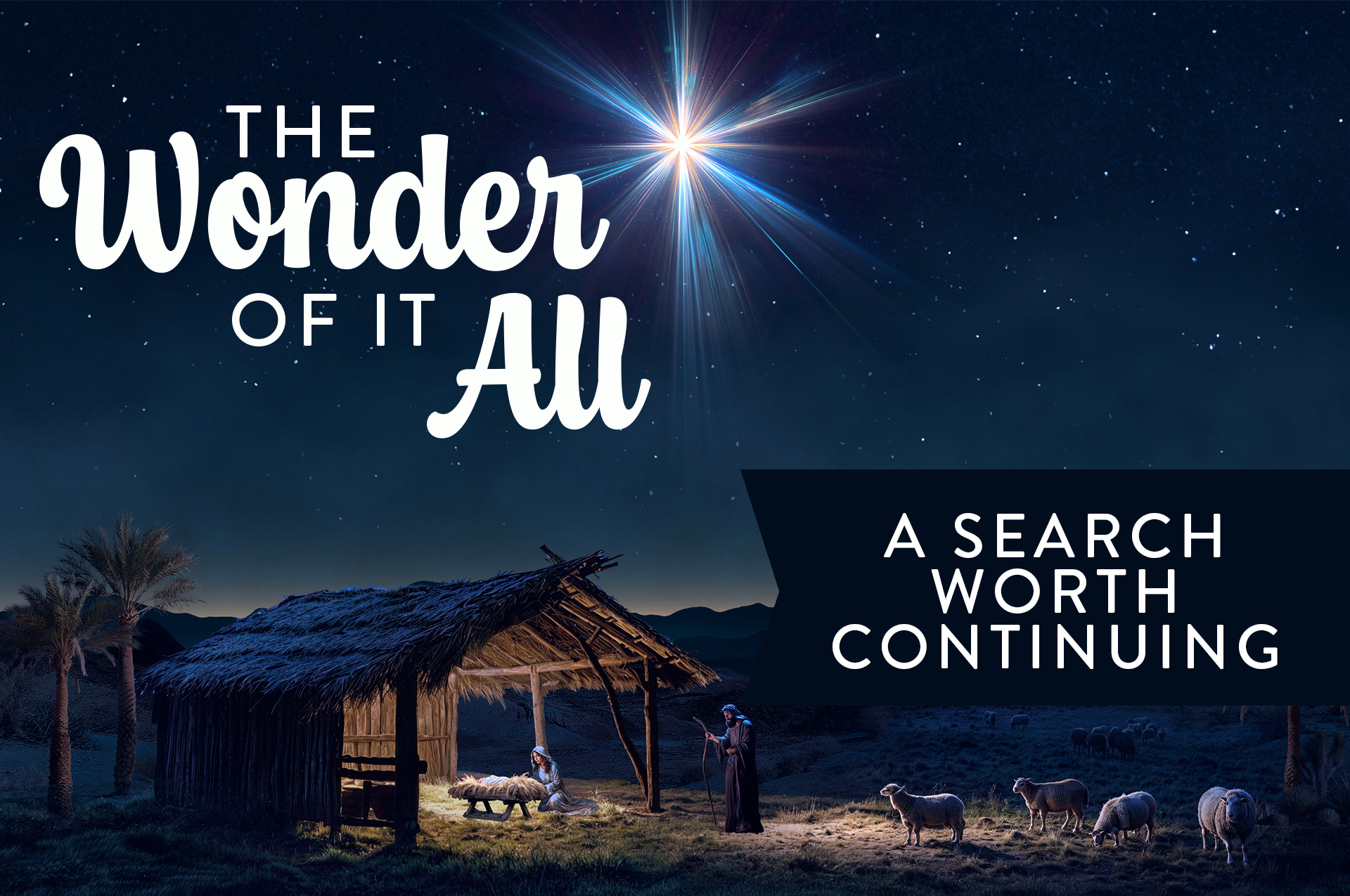 the wonder of it all web 3