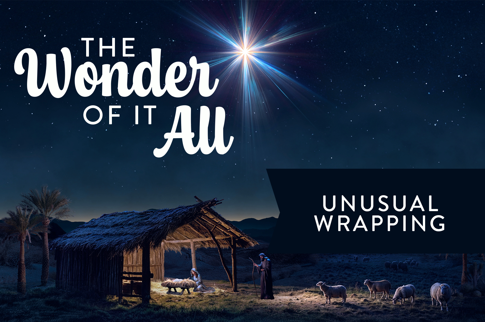the wonder of it all web 4